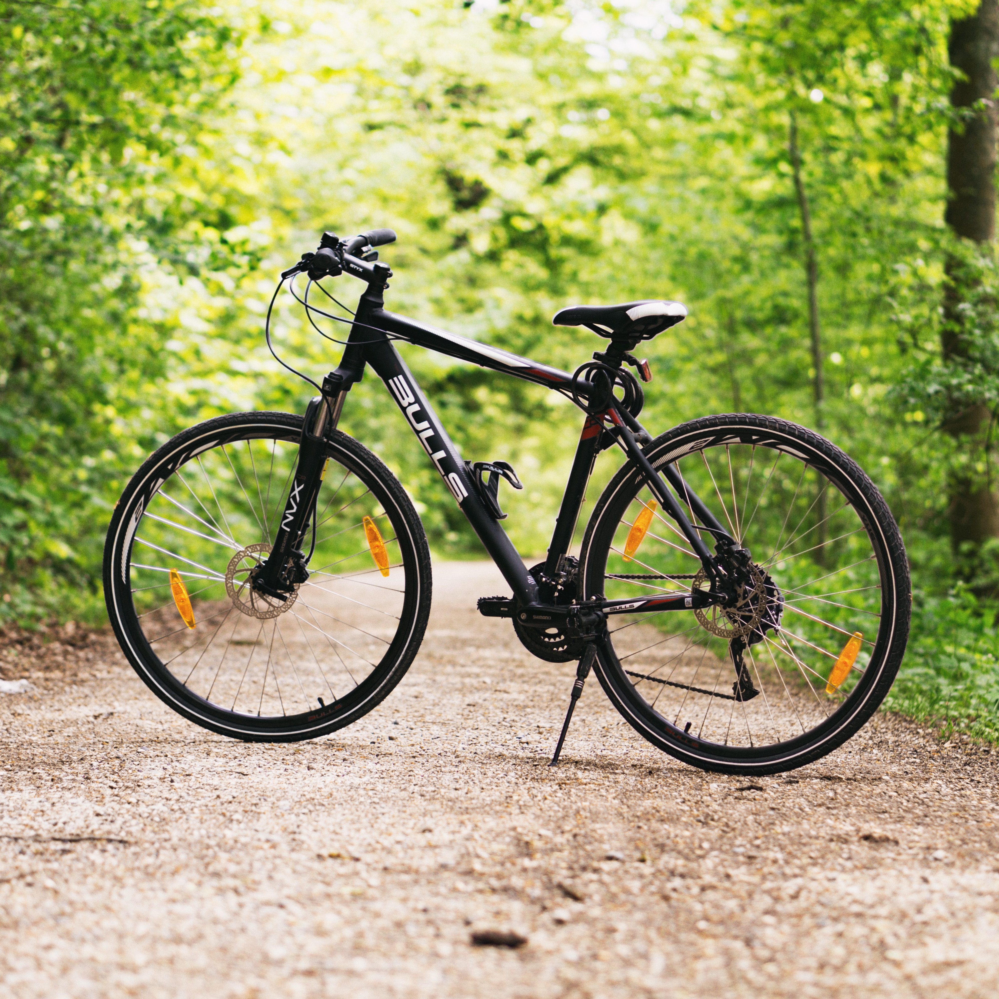 bicycle-daylight-forest-100582 bicycle-daylight-forest-100582