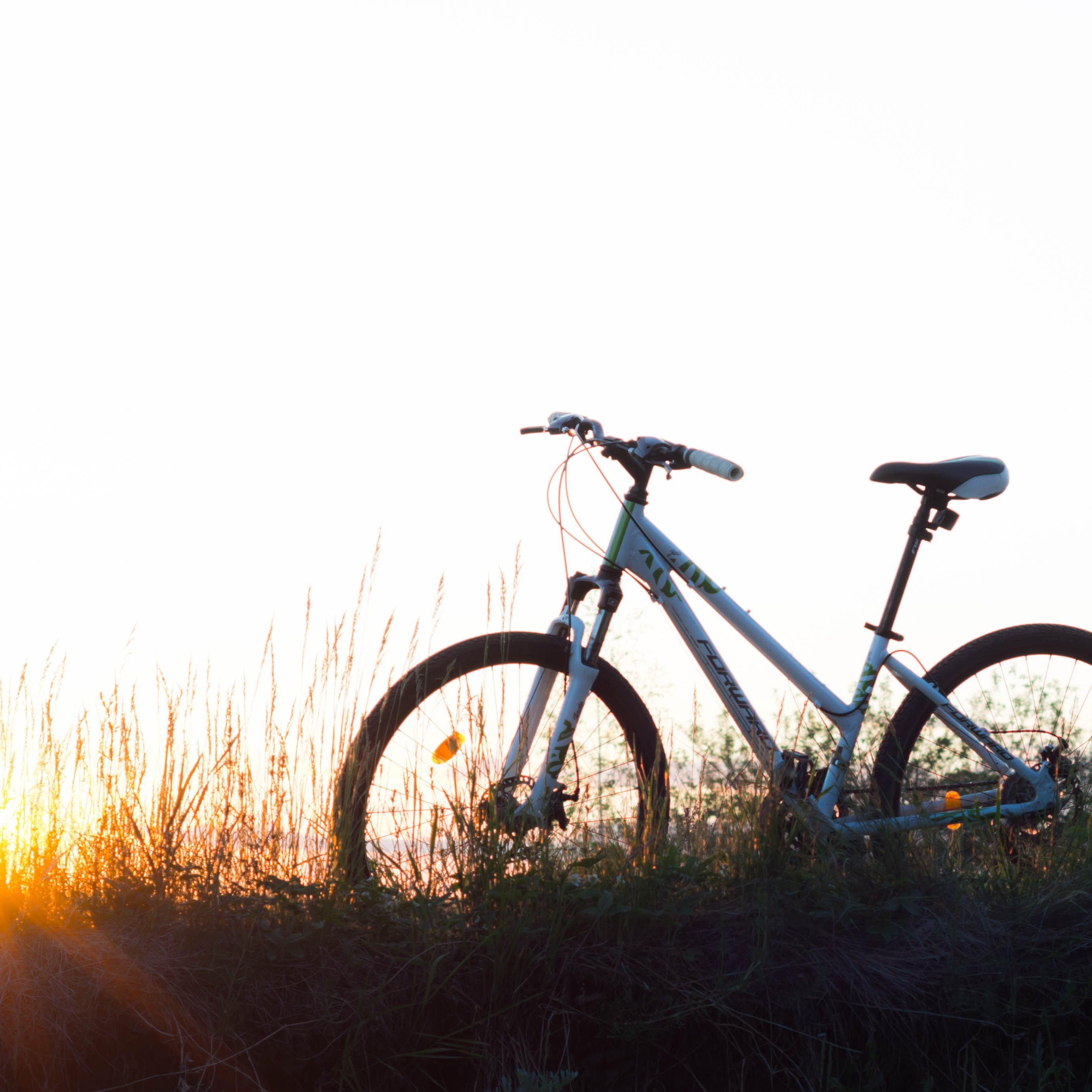 bicycle-grass-leisure-127016 bicycle-grass-leisure-127016